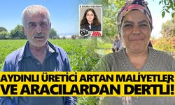 Aydınlı üretici artan maliyetler ve aracılardan dertli!