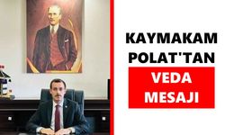 Bozdoğan Kaymakamı Polat'tan veda mesajı