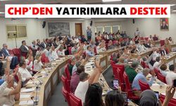 Bozdoğan’ın beklediği yollar yapılacak