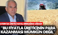 Buğday fiyatı açıklandı! Aydın’da üretici hayal kırıklığına uğradı