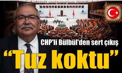 Bülbül’den hem iktidara hem CHP yönetimine sert eleştiri