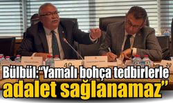 Bülbül’den infaz düzenlemesine tepki