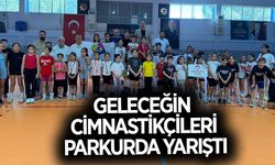 Aydın'da geleceğin cimnastikçileri yarıştı