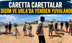 Caretta carettalar Didim ve Urla’da yeniden yuvaladı