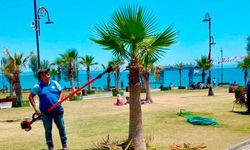 Didim’de yaşam alanları yenileniyor