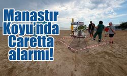 Didim’de yönünü şaşırdı, ekipler hayata döndürdü