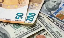 Ne dolar ne de euro: Bu para birimine yatırım yapanlar zengin oldu!