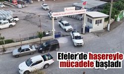 Efeler Belediyesi sivrisineğe karşı sahaya indi