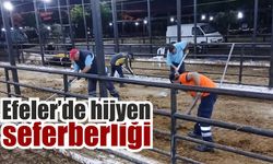 Efeler Belediyesi’nden bayramda hijyen seferberliği