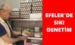 Efeler'de sıkı denetim