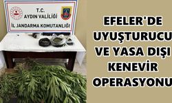 Efeler'de şok baskın: Evden uyuşturucu, kenevir ve silah çıktı