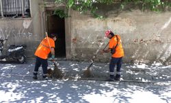Efeler’de temizlik seferberliği: Mahalleler pırıl pırıl oldu