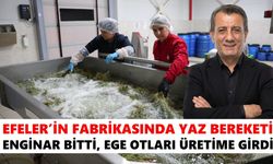 Efeler’in fabrikasında yaz bereketi: Enginar bitti, Ege otları üretime girdi