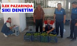Buharkent'te gündem ilek