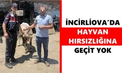 Jandarma iz sürdü, çalınan büyükbaş hayvan saatler içinde bulundu