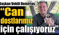 Kuşadası’nda can dostlara yakın ilgi