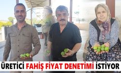Nazilli'de ilek tezgâhları kuruldu