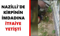Nazilli’de kirpinin imdadına itfaiye yetişti