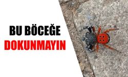 Nazilli'ye hayati uyarı