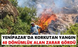 Yenipazar'da yangın paniği
