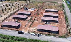 Başkan Yetişkin’den patili dostlara 26 bin metrekarelik yaşam alanı
