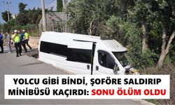 Yolcu gibi bindi, şoföre saldırıp minibüsü kaçırdı: Sonu ölüm oldu