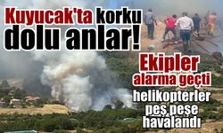 3 helikopter havalandı! Aydın'daki yangında acı bilanço