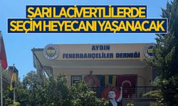 Aydın'da sarı lacivertliler olağanüstü genel kurula gidiyor