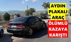 Aydın plakalı otomobilin karıştığı feci kaza can aldı