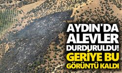 Aydın'da alevler durduruldu! Geriye bu görüntü kaldı