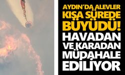 Aydın’da alevler kısa sürede büyüdü! Havadan ve karadan müdahale ediliyor