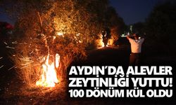 Aydın’da alevler zeytinliği yuttu! 100 dönüm kül oldu