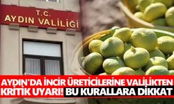 Aydın'da incir üreticilerine Valilikten kritik uyarı! Bu kurallara dikkat