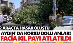 Aydın'da korku dolu anlar! Facia kıl payı atlatıldı