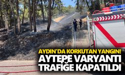 Aydın'da korkutan yangın! Aytepe Varyantı trafiğe kapatıldı