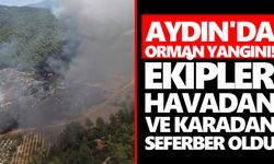 Aydın'da orman yangını! Ekipler havadan ve karadan seferber oldu