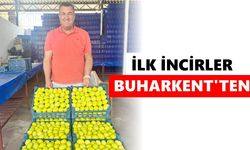 Aydın'da taze incir sezonu