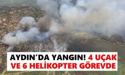 Aydın'da yangın! 4 uçak 6 helikopter görevde