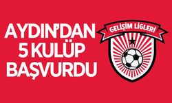 Aydın'dan 5 kulüp TFF Gelişim Ligi için başvuru yaptı
