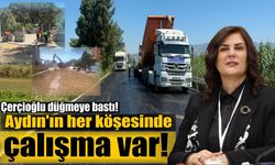 Aydın'ın dört bir yanı şantiyeye döndü!