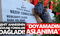 Aydınlı 15 Temmuz şehidi Eker'in annesi yürekleri dağladı!