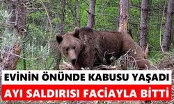 Ayı saldırısı can aldı: Evinin önünde uyurken hayatını kaybetti