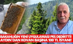 Bakanlığın yeni uygulaması pes dedirtti! Aydın'dan 'kovan başına 100 TL' isyanı!