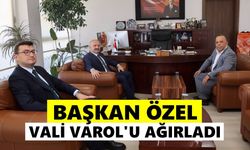 Bozdoğan'a ağır misafir