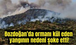 Bozdoğan'daki yangının arkasından bakın ne çıktı!