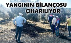 Bozdoğan'da tarımsal hasar için ekipler sahada