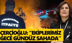 Büyükşehir İtfaiyesi 3 günde 176 yangına koştu!