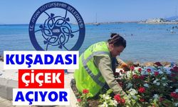 Çerçioğlu'ndan Kuşadası'na yeşil dokunuş