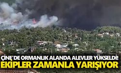 Çine'de ormanlık alanda alevler yükseldi! Ekipler zamanla yarışıyor