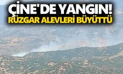 Çine'de yangın! Rüzgar alevleri büyüttü